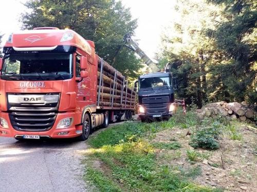 PLATEAU-BOIS-GRAND-POTEAUX